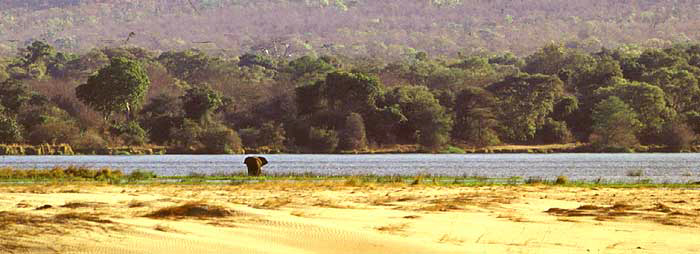 Zambezi River